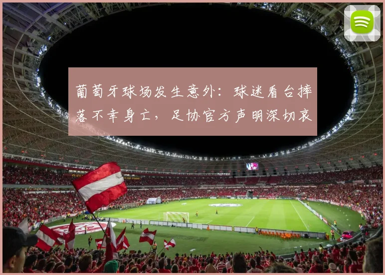 葡萄牙球场发生意外:球迷看台摔落不幸身亡,足协官方声明深切哀悼