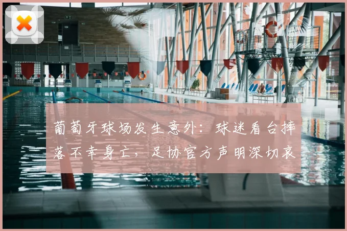 葡萄牙球场发生意外：球迷看台摔落不幸身亡，足协官方声明深切哀悼