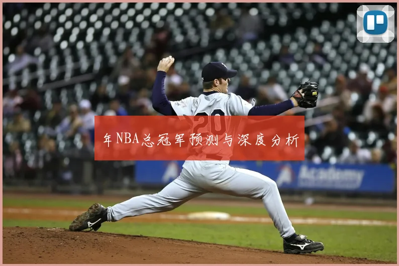 年NBA总冠军预测与深度分析